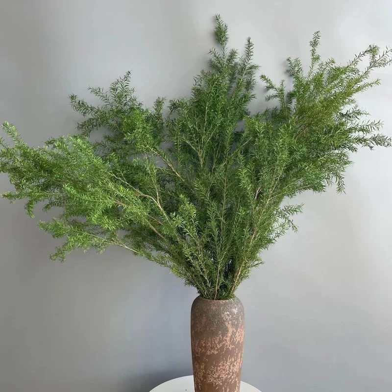 Premium Trockenblumenstiele
