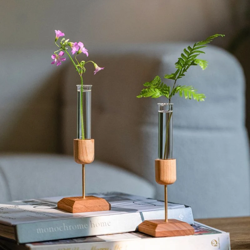 Moderner Reagenzglas-Blumenvasen