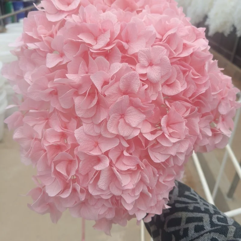 Lebensechte Hortensie Blumenstrauß