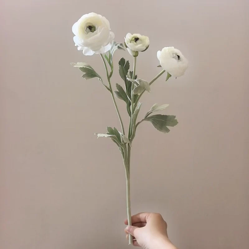 Realistische Ranunkel Blumenschaft