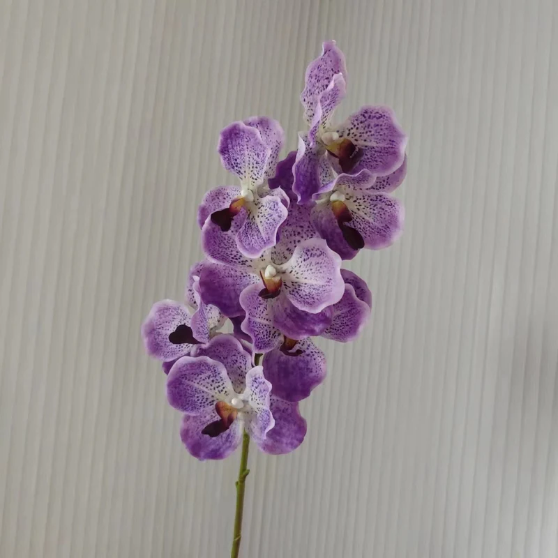 Realistische Orchideenstängel
