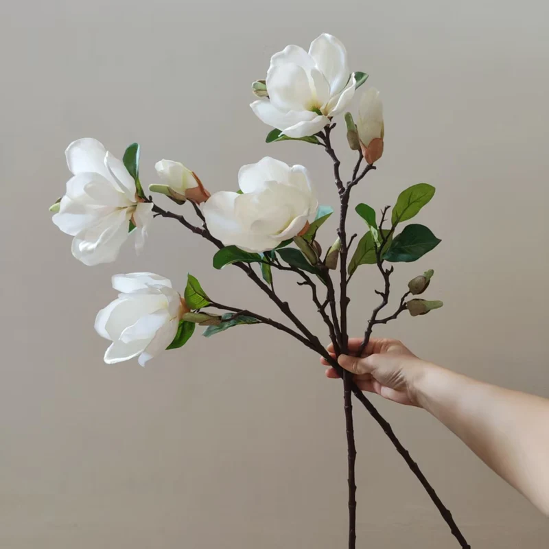Realistische Magnolienblüte Stamm