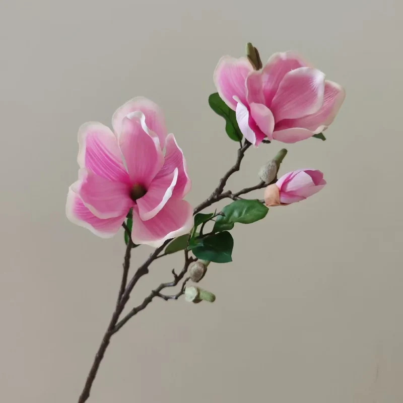 Realistische Magnolienblüte Stamm