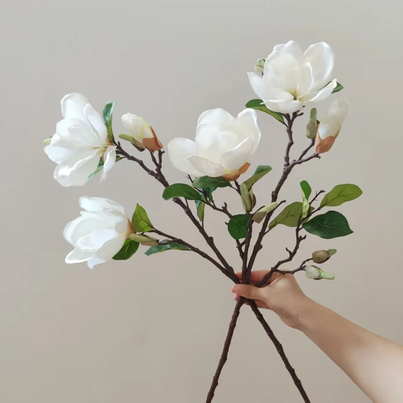 Realistische Magnolienblüte Stamm