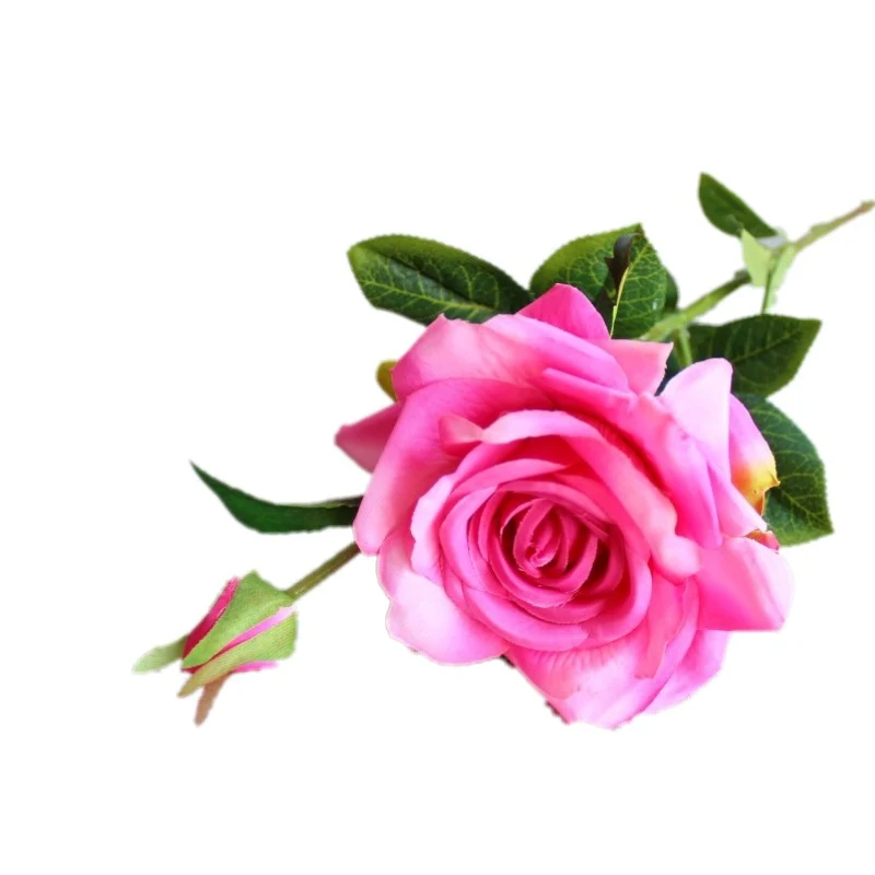 Realistische Blumenspross Rose