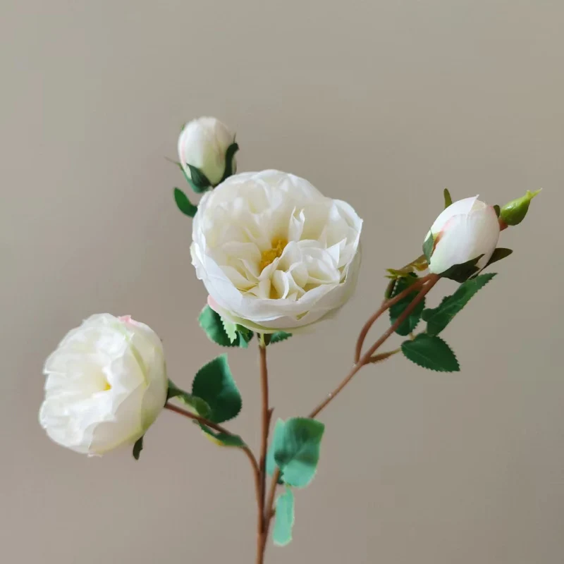 Realistische florale Pfingstrose Stiel