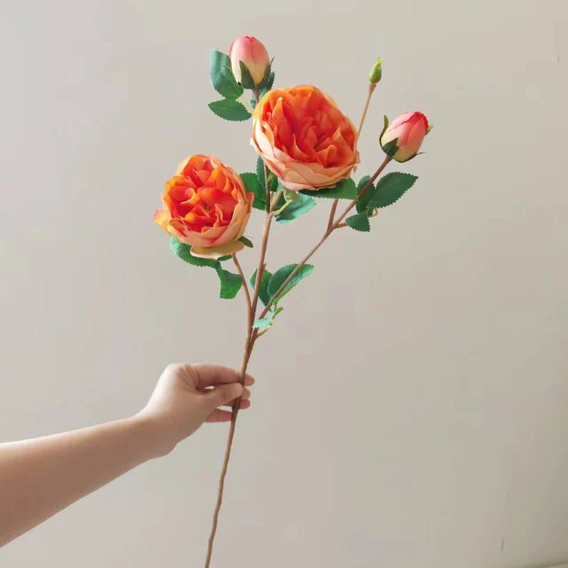 Realistische florale Pfingstrose Stiel