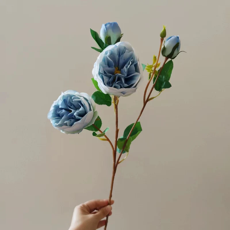 Realistische florale Pfingstrose Stiel