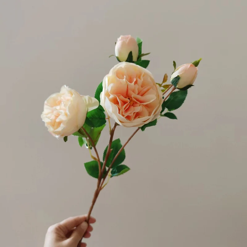 Realistische florale Pfingstrose Stiel