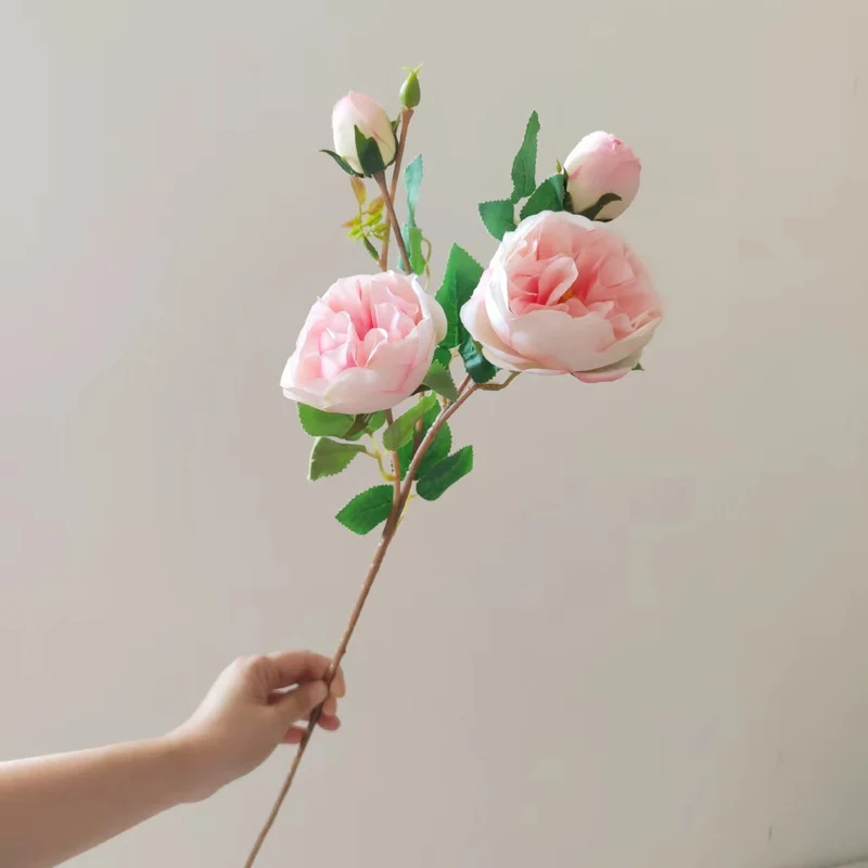 Realistische florale Pfingstrose Stiel