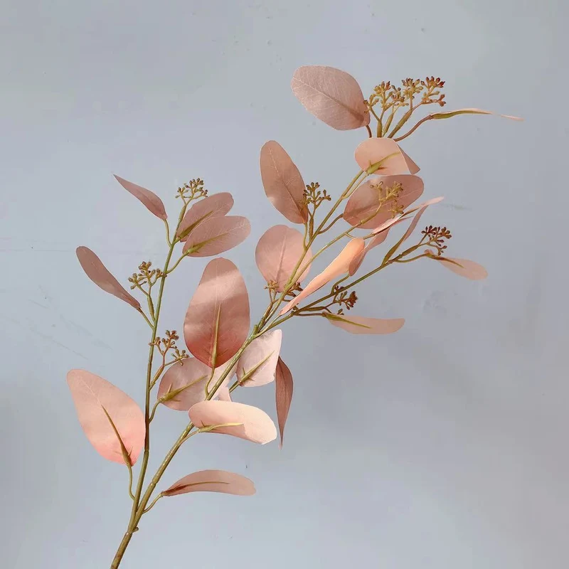 Natürlicher Eukalyptus-Stiel