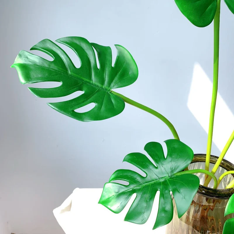 Monstera Blatt Dekorativer Stängel
