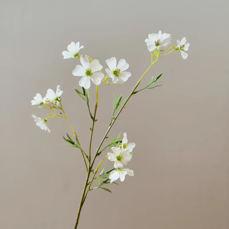 Lebensnahe tropische Blumenstängel