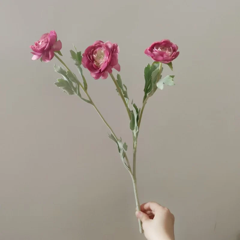 Lifelike Ranunculus Blütenstängel