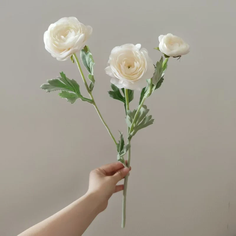 Lifelike Ranunculus Blütenstängel