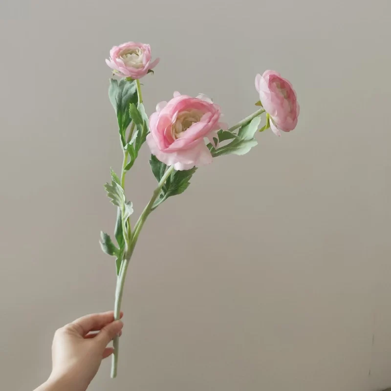 Lifelike Ranunculus Blütenstängel