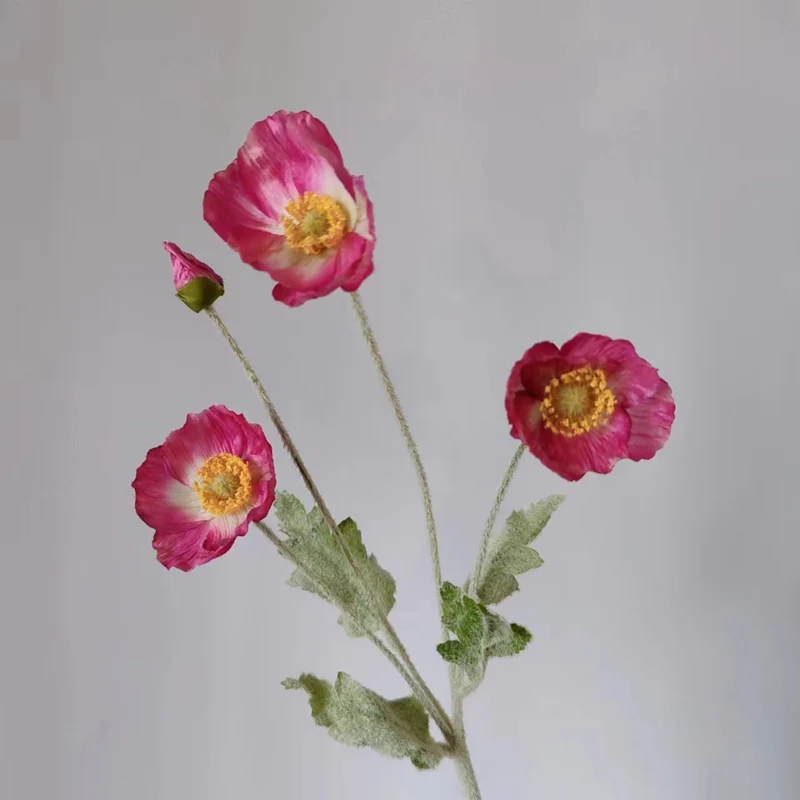 Lebensechte Mohnblumenstiel
