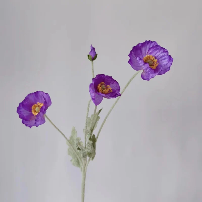 Lebensechte Mohnblumenstiel