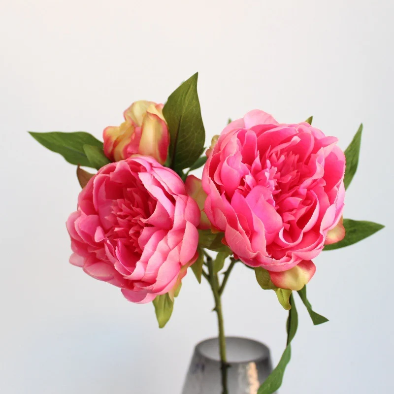 Lebensechte Pfingstrose Blumensamen