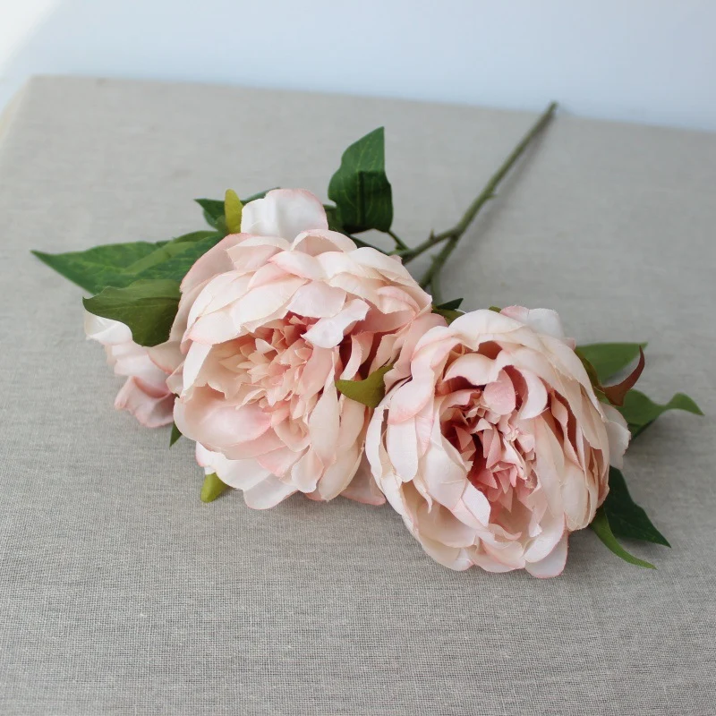 Lebensechte Pfingstrose Blumensamen
