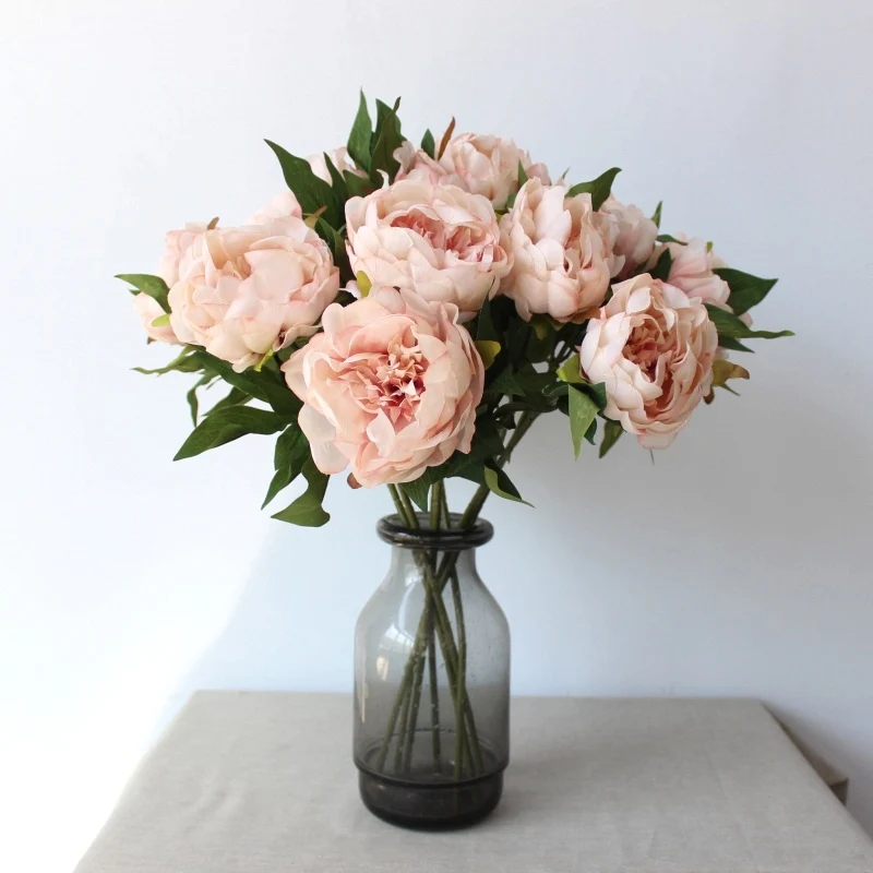Lebensechte Pfingstrose Blumensamen