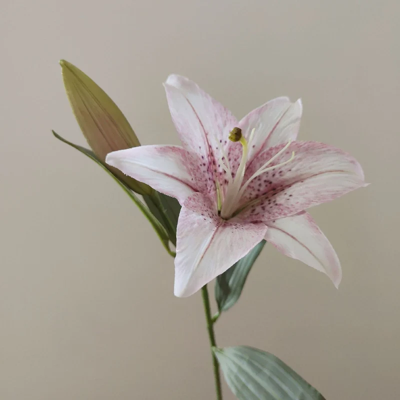 Lebensechte Lilienstiel