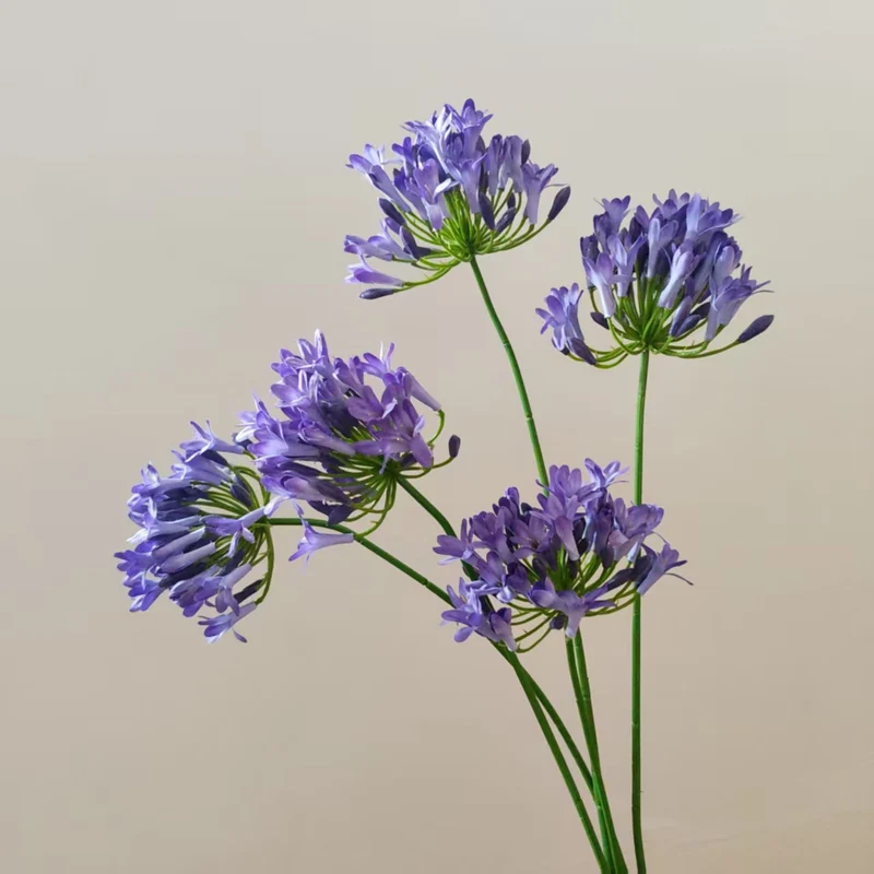 Lebensnahe Botanische Blumenstiel