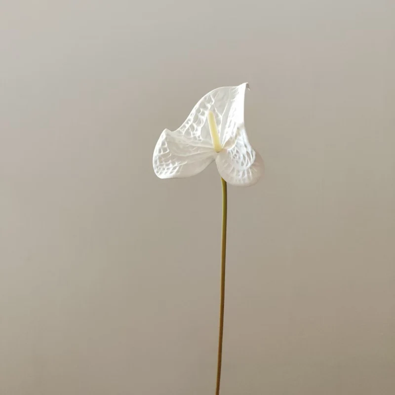 Herzförmiges Blatt Blumenständer