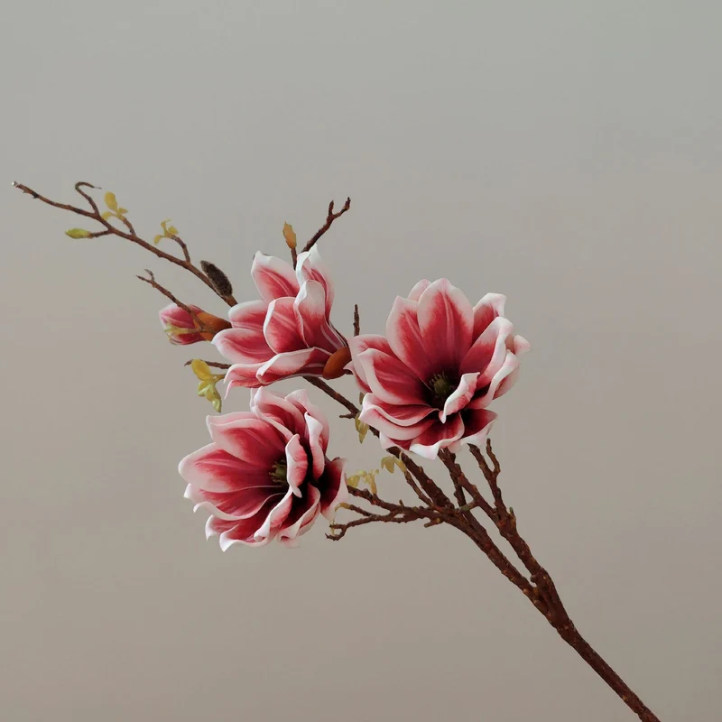 Elegante florale Stielanordnung