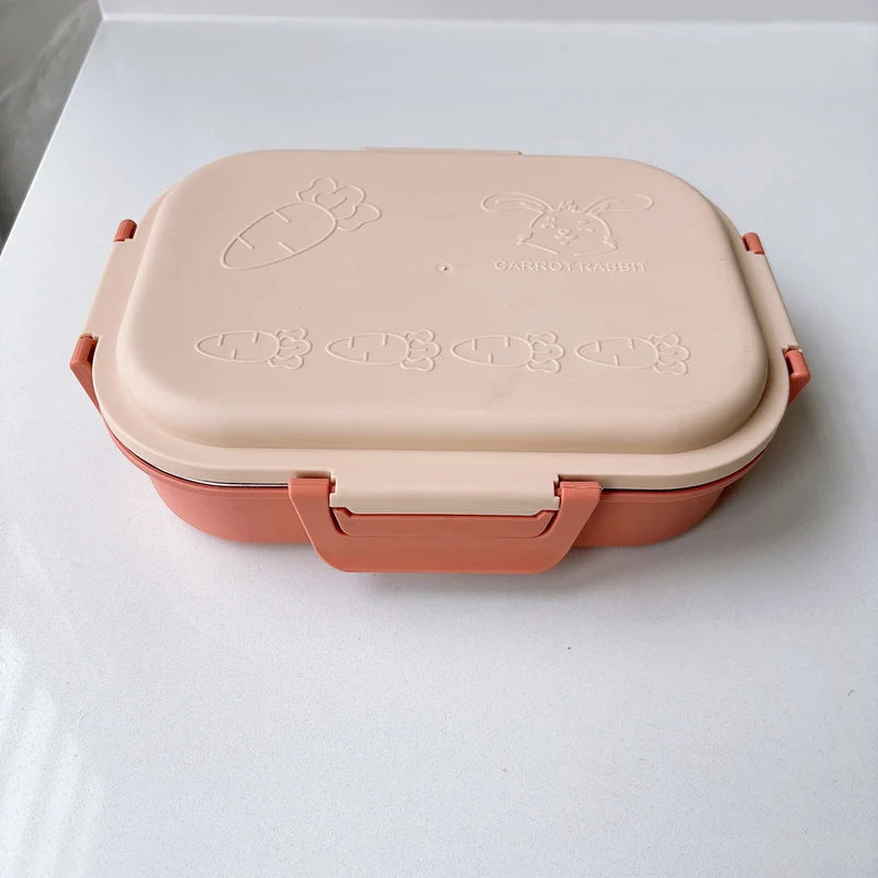 Karotten-Themen Multi-Compartment Lunchbox