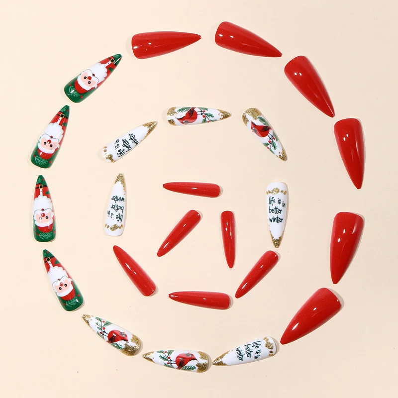 Festliches 3D Nagelkunst Set Karnz